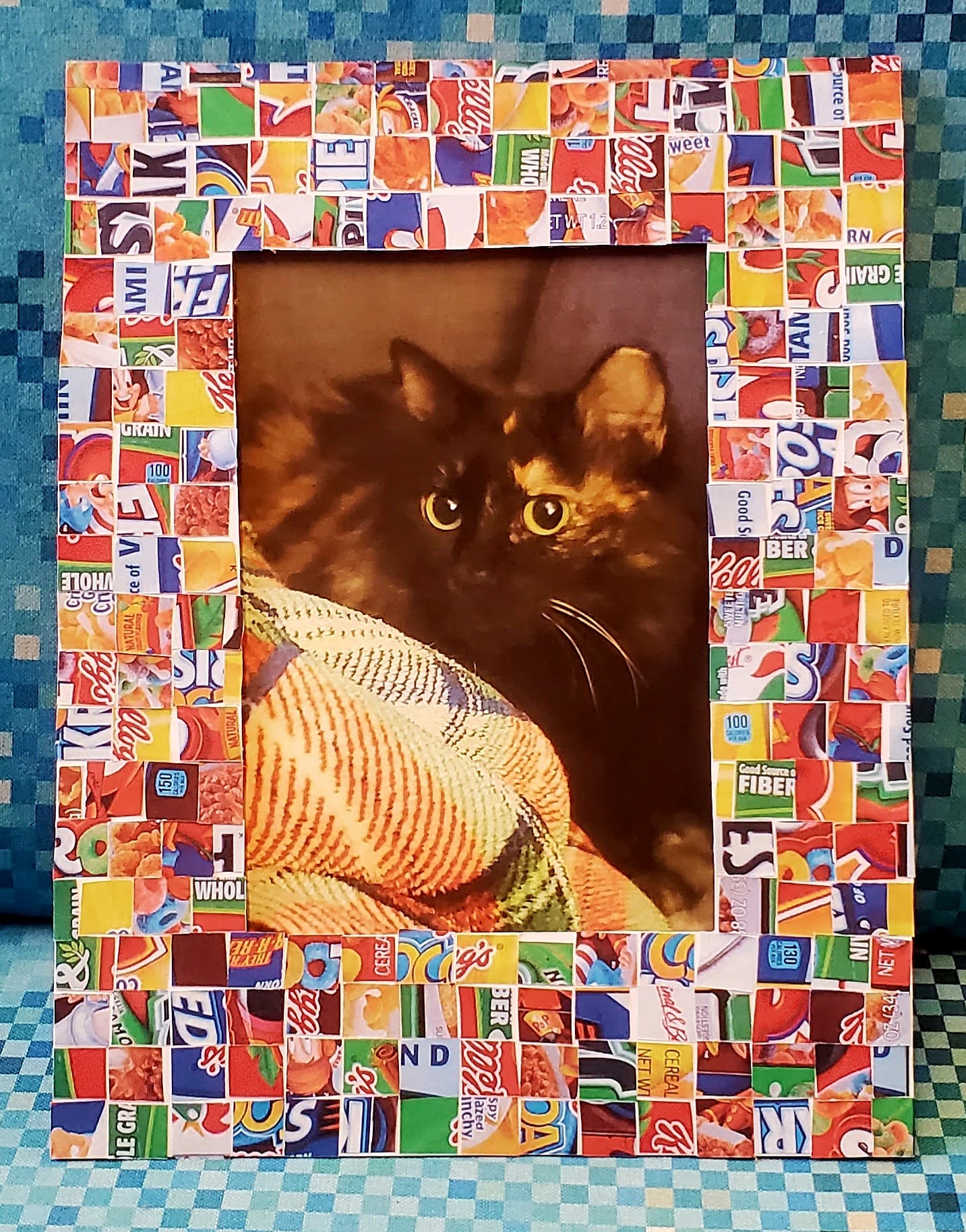 Brightly colored recycled paper mosaic framing a picture of a fluffy tortoiseshell cat.