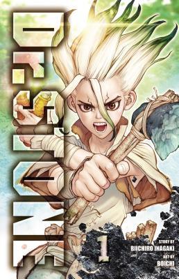 Book cover for Dr. Stone Vol. 1