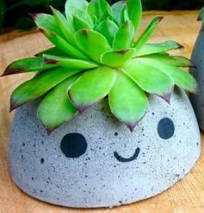 Concrete planter with a smiley face, containing a succulent.